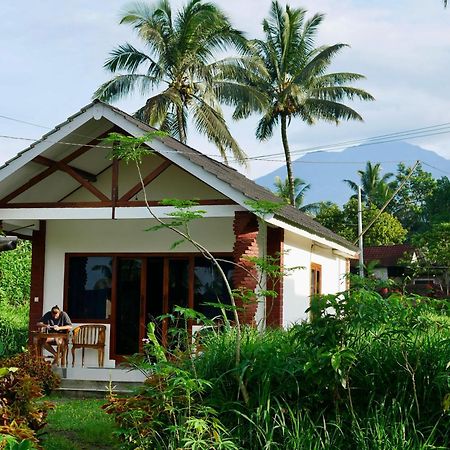 Rice Field Inn - Lombok Tetebatu Exterior photo