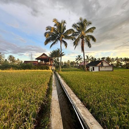 Rice Field Inn - Lombok Tetebatu Exterior photo