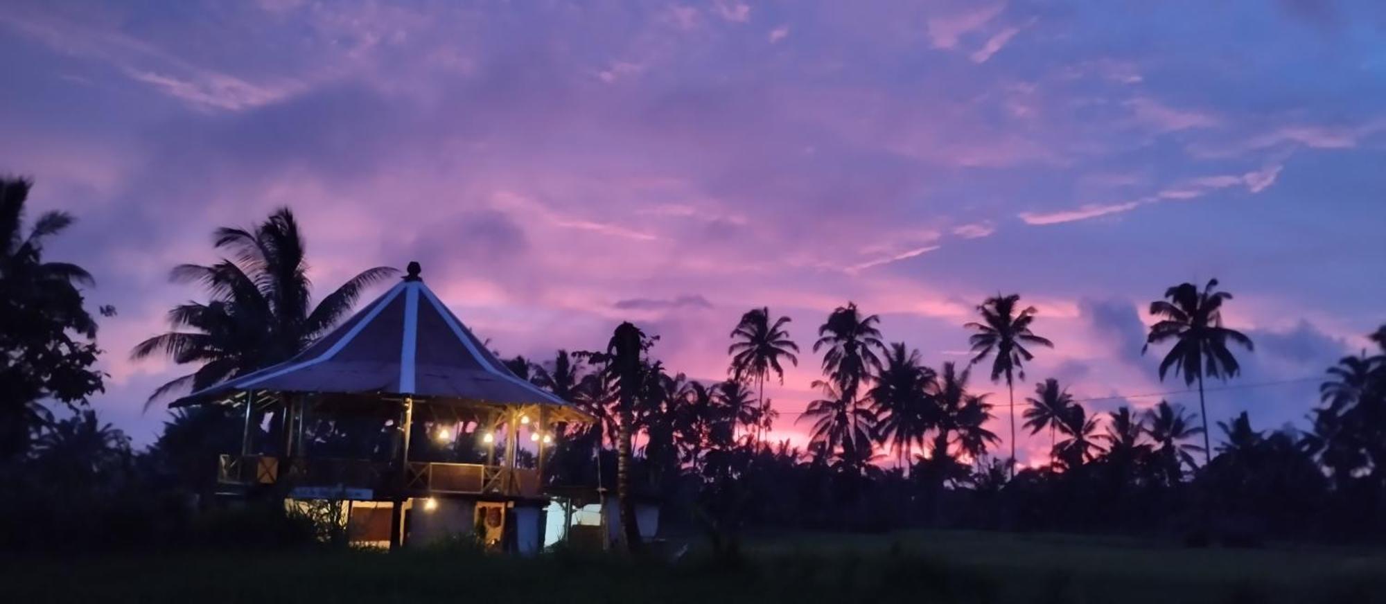 Rice Field Inn - Lombok Tetebatu Exterior photo
