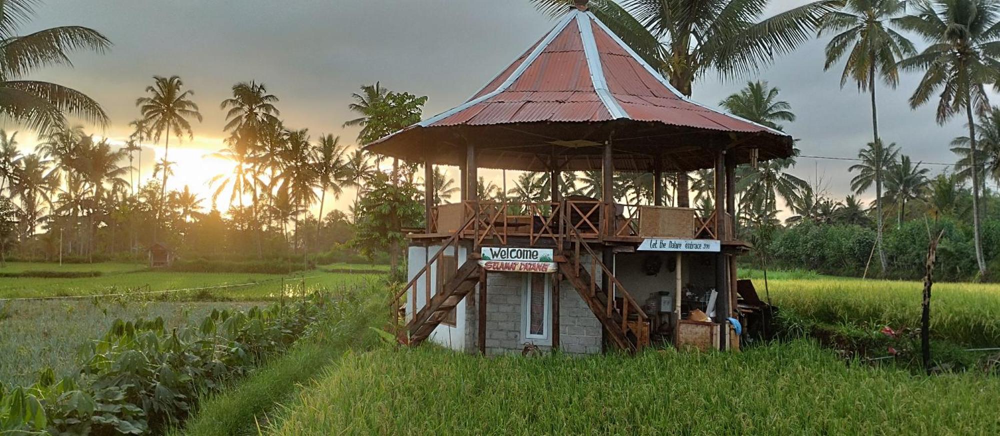 Rice Field Inn - Lombok Tetebatu Exterior photo