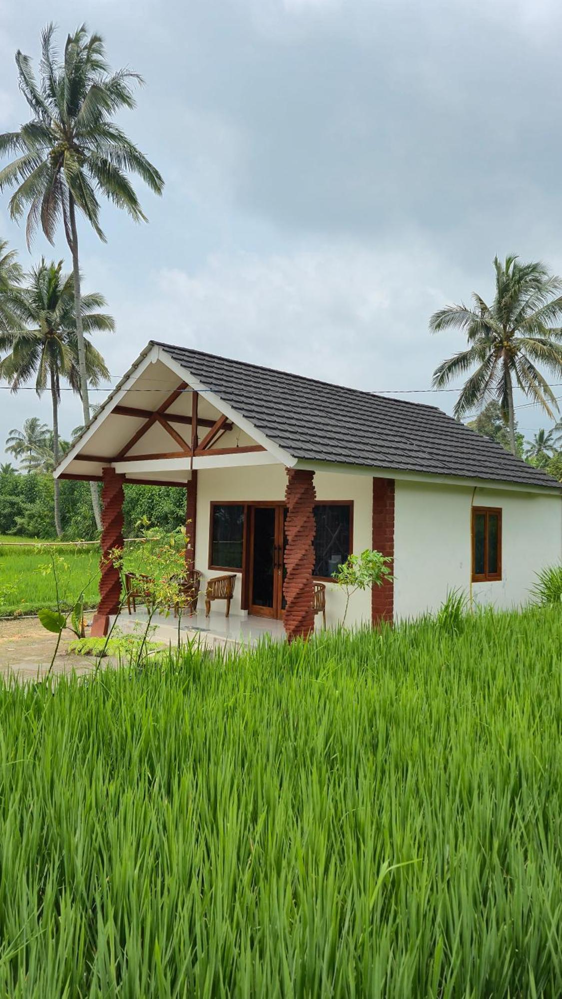 Rice Field Inn - Lombok Tetebatu Exterior photo