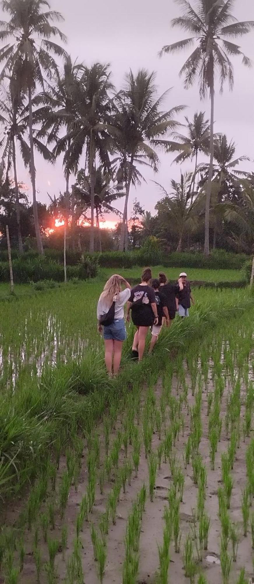 Rice Field Inn - Lombok Tetebatu Exterior photo