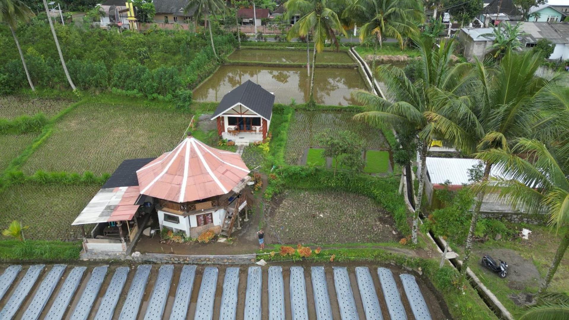 Rice Field Inn - Lombok Tetebatu Exterior photo