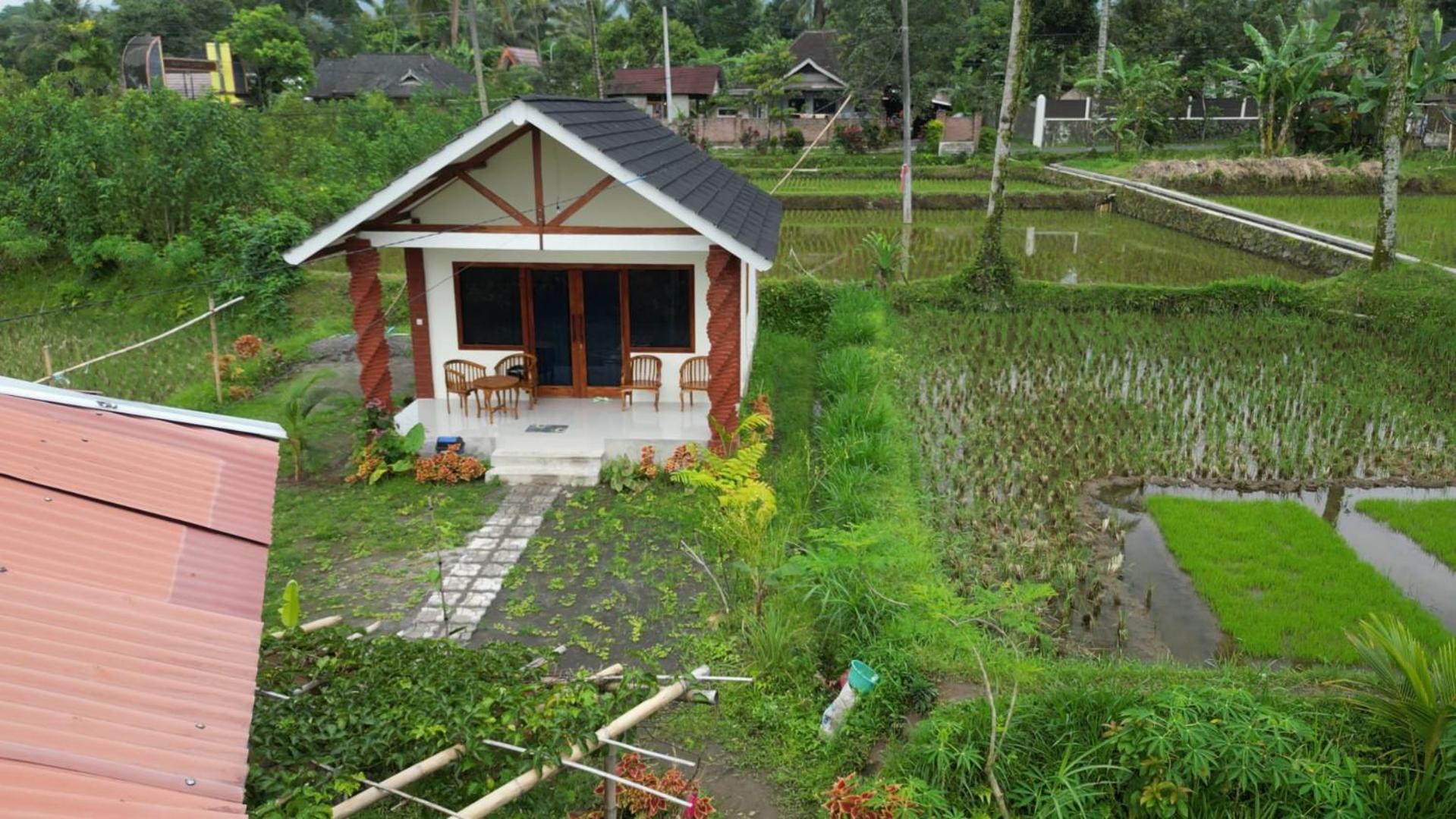 Rice Field Inn - Lombok Tetebatu Exterior photo