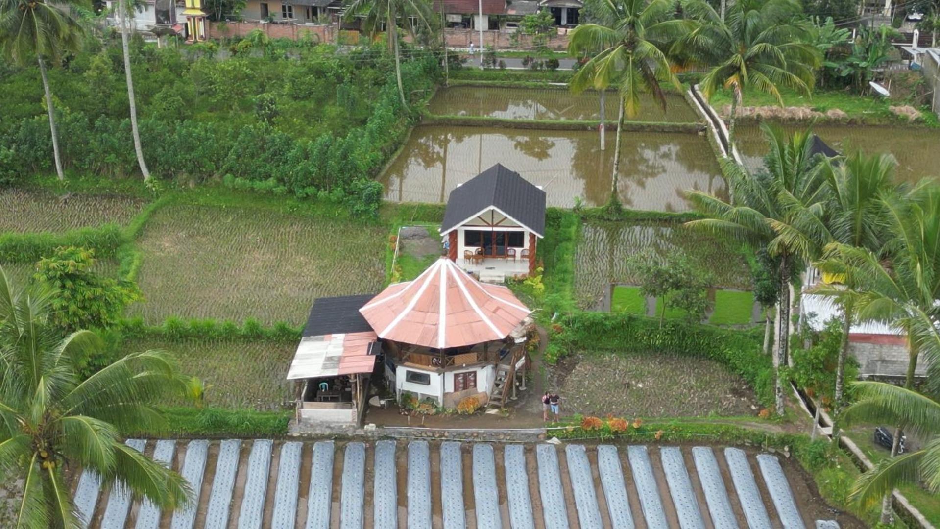 Rice Field Inn - Lombok Tetebatu Exterior photo