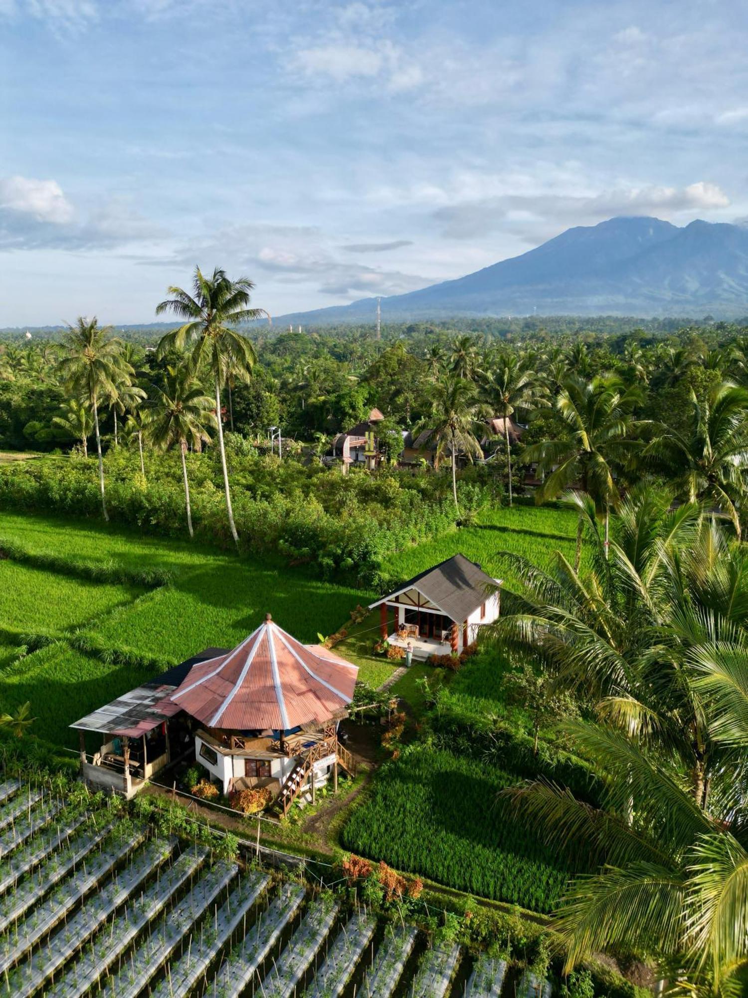 Rice Field Inn - Lombok Tetebatu Exterior photo