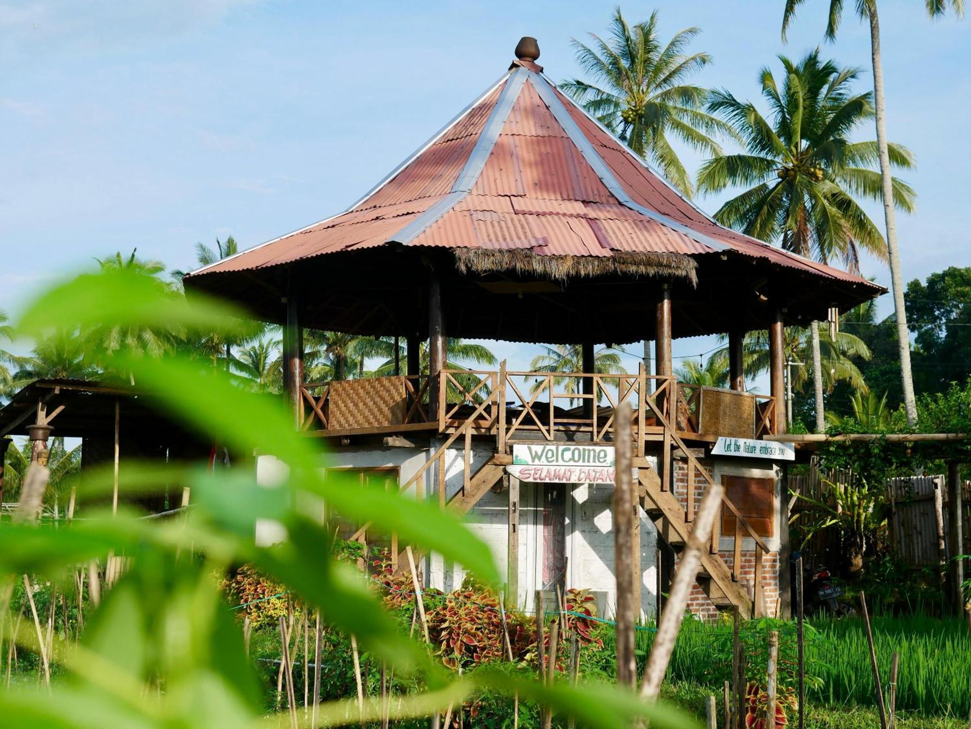Rice Field Inn - Lombok Tetebatu Exterior photo