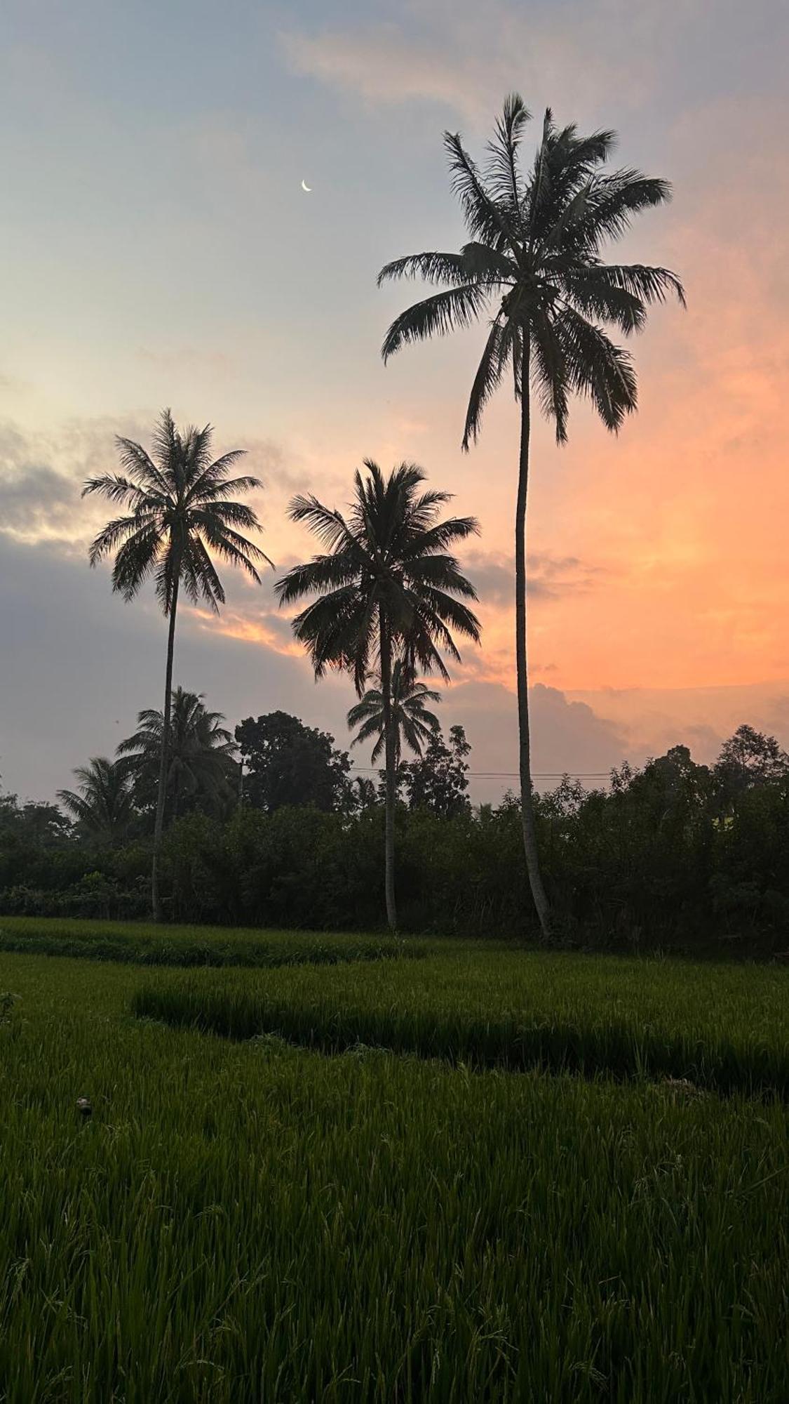 Rice Field Inn - Lombok Tetebatu Exterior photo