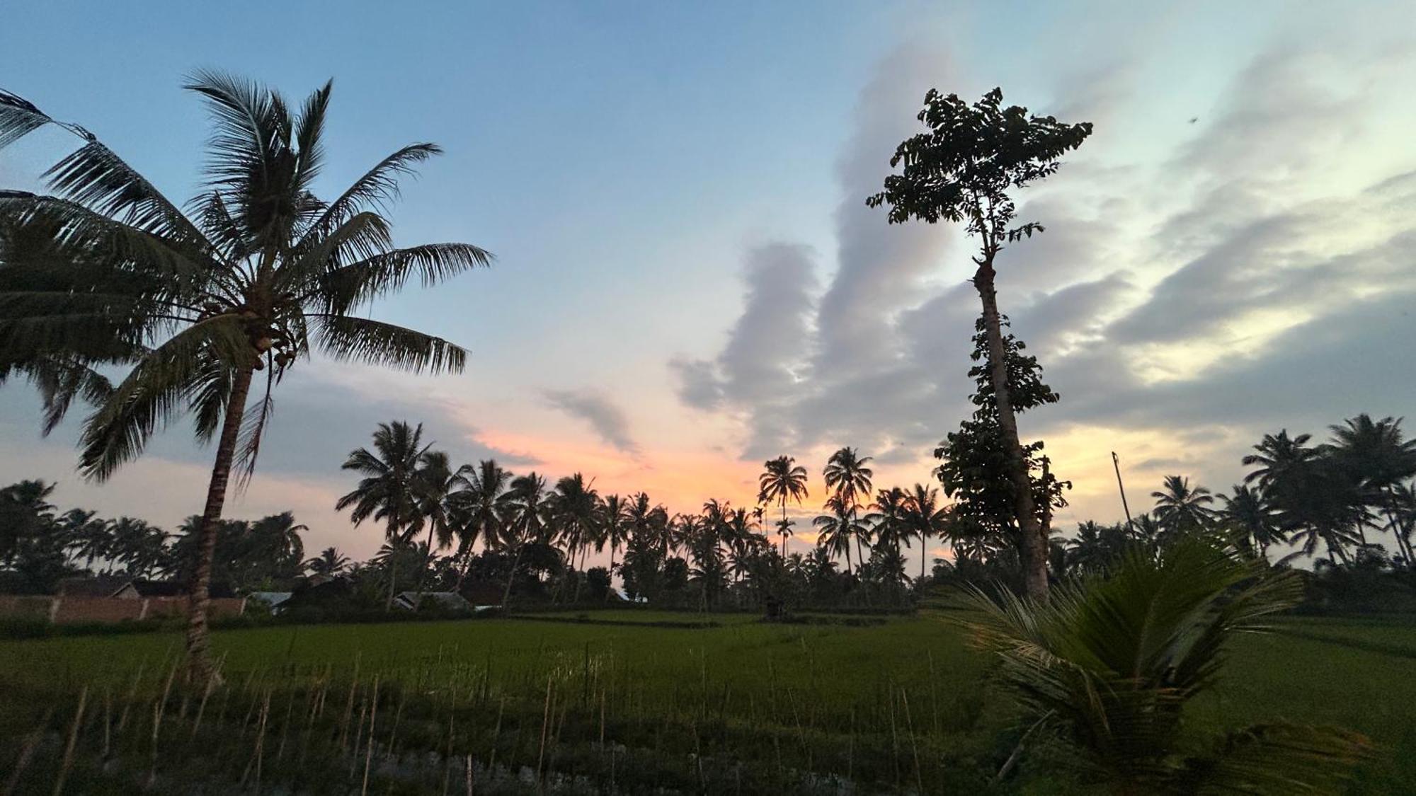 Rice Field Inn - Lombok Tetebatu Exterior photo